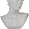Large Bust Man's Head at online8 furniture store Auckland