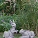 Manon Planter Rabbit - Large at online8 furniture store Auckland
