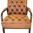 Montpellier Armchair at online8 furniture store Auckland