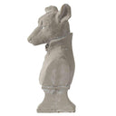 Mr Dog in Suit at online8 furniture store Auckland