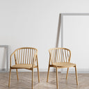 Nordic Dining Chair at online8 furniture store Auckland