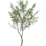Olive Faux Tree Potted 210cm at online8 furniture store Auckland