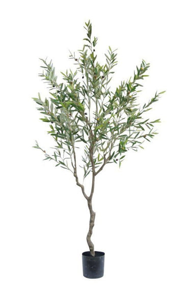 Olive Faux Tree Potted 210cm at online8 furniture store Auckland