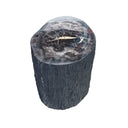 Petrified Wood Stump Stool at online8 furniture store Auckland
