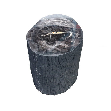 Petrified Wood Stump Stool at online8 furniture store Auckland