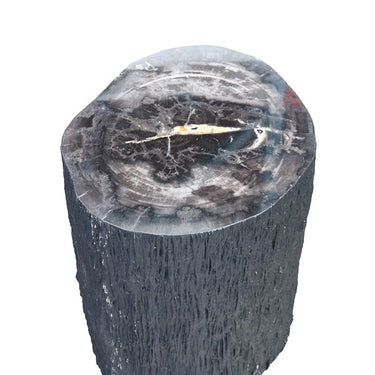 Petrified Wood Stump Stool at online8 furniture store Auckland