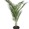 Potted Fern - Faux Plant at online8 furniture store Auckland