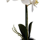 Real Touch Orchid 1 Spray at online8 furniture store Auckland