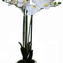 Real Touch Orchid 3 Spray at Online8 Furniture Auckland NZ