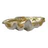 Resin Clam Shell Champagne XL at online8 furniture store Auckland