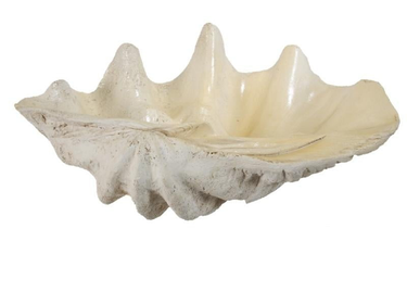 Resin Clam Shell - Large at online8 furniture store Auckland