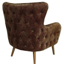 Safari Occasional Chair at online8 furniture store Auckland