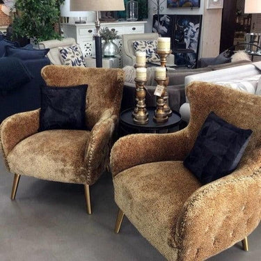 Safari Occasional Chair at online8 furniture store Auckland