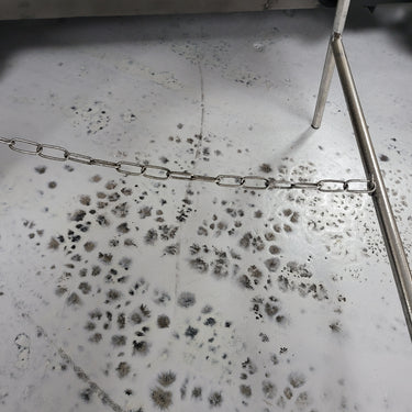 Savvy Silver Easle at online8 furniture store Auckland