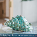 Seashell Accent at online8 furniture store Auckland