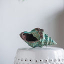 Seashell Accent at online8 furniture store Auckland