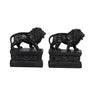 Set of Lion Bookends at online8 furniture store Auckland