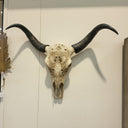 Skull Wall Decor at online8 furniture store Auckland