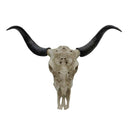 Skull Wall Decor at online8 furniture store Auckland