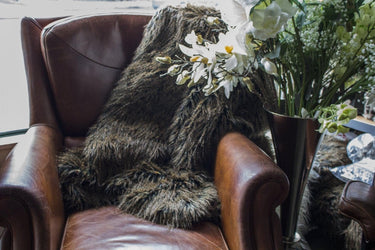 Springfield Armchair - Vintage Cigar at online8 furniture store Auckland