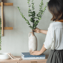 Terracotta Planter at online8 furniture store Auckland