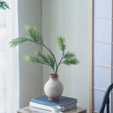 Terracotta Planter at online8 furniture store Auckland