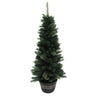 Tree Green 5′ Potted at online8 furniture store Auckland