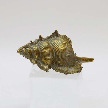 Vienna Shell at online8 furniture store Auckland