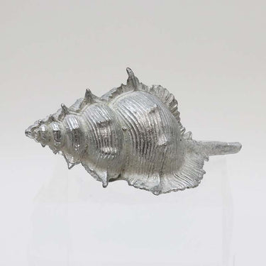 Vienna Shell at online8 furniture store Auckland