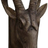 Wall Sconce - Rams Head Large at online8 furniture store Auckland