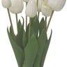 White Tulip Arrangement - 12 Head at online8 furniture store Auckland
