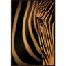 Zebra Framed Canvas Art - Sepia Stripes at online8 furniture store Auckland